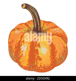 vector isolated pumpkin for an autumn design Stock Vector