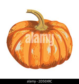vector isolated pumpkin for an autumn design Stock Vector