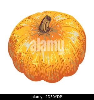vector isolated pumpkin for an autumn design Stock Vector