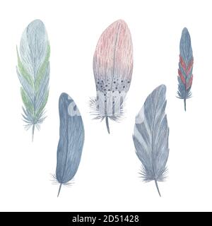 Watercolor boho feathers illustration set from wing. Wild bird fly ...