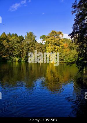 Autumn scene at Rozelle Park lake, Ayr South Ayrshire, Scotland Stock Photo