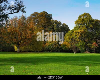 Autumn trees in sunshine at Rozelle Park Ayr, South Ayrshire Scotland Stock Photo