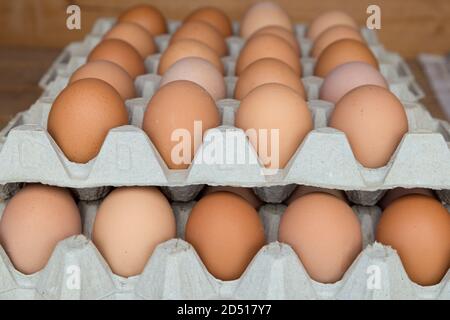 Close up of large brown free range eggs on 2 layers of trays. Farm fresh eggs sold in the countryside in summer Stock Photo