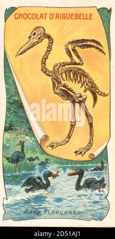 vintage dinosaur extinct animal illustration Stock Photo