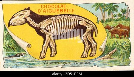 vintage dinosaur extinct animal illustration Stock Photo