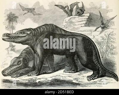 vintage dinosaur extinct animal illustration Stock Photo