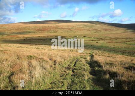 View near Higher tor towards South Tawton common, North Dartmoor national park, Devon, England, UK Stock Photo