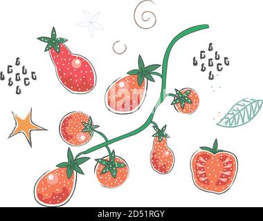 Cute Winter Icon with Tomatoes. Hand Drawn Scandinavian Style. Vector Illustration Stock Vector