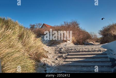 Entrance to beach on Island Hiddensee in Germany. Yellow grass. Autumn or winter time low season. Stock Photo