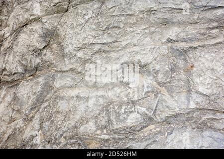 Real fossil dinosaur tracks exposed on a fossilised riverbed. Asturias. Spain. Stock Photo