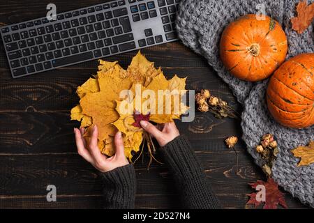 Female hands typing laptop on workspace with yellow and red maple leaves Stock Photo