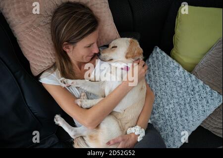 Top view of a young woman cuddling with her cute white dog sleeping in her lap. Stock Photo