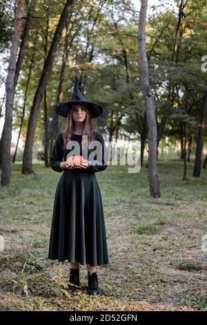 Young woman in dark dress and witch hat holds a pumpkin in her hands. Halloween party costume. Forest, park with autumn trees Stock Photo