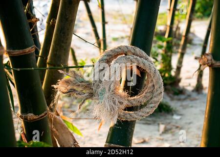 Jute or plastic rope rounded and hanging on the bamboo garden Stock Photo