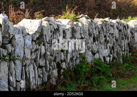 traditional dry stone wall,vertically stacked,weathered,wethering,lichen,lichens,mosses,west cork,rural ireland,RM Ireland Stock Photo