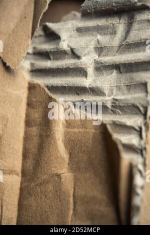 Ripped and damaged pieces of a cardboard box Stock Photo