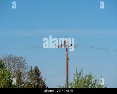Close up on high voltage transmission pylon Stock Photo