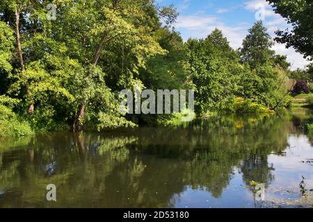Drweca river in Golub-Dobrzyn. Poland Stock Photo