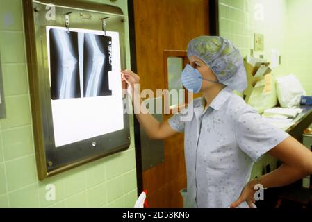 Female orthopedic doctor looks at an x-ray prior to an operation Stock Photo