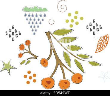 Cute Icon with Rowan. Hand Drawn Scandinavian Style. Vector Illustration Stock Vector