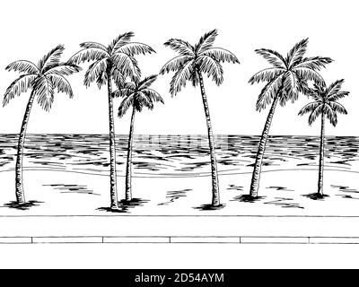 Street Road Graphic Palm Tree Color Sea Landscape Sketch Illustration Vector Stock Vector Image Art Alamy