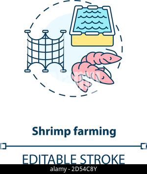 Shrimp farming concept icon Stock Vector