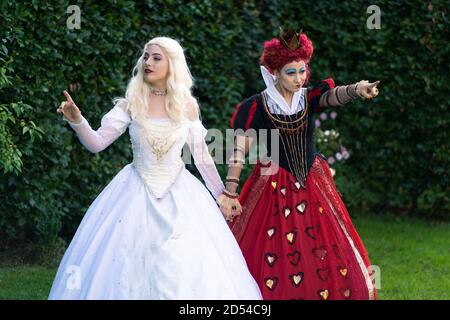 alice in wonderland white queen costume