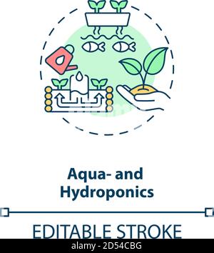 Aqua and hydroponics concept icon Stock Vector