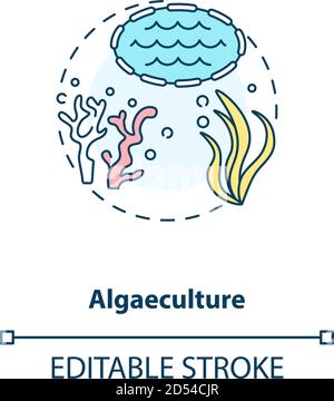 Algaeculture concept icon Stock Vector