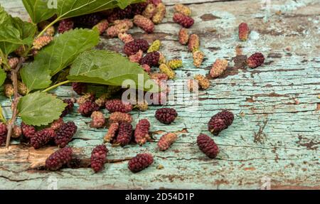 Fruits and leaves of blackberry spread on wooden surface. The blackberry is products of the Morus alba tree. Its leaves, which also contain nutrients Stock Photo