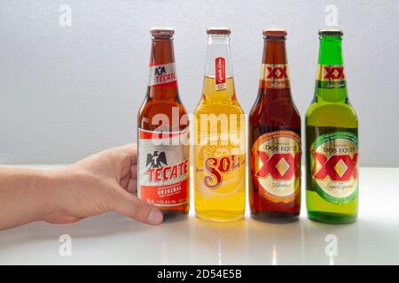 Calgary, Alberta, Canada. Oct 12, 2020. A person holding a mexican beer with various popular beers from Mexico. Tecate, Sol, Dos Equis beer bottles on Stock Photo