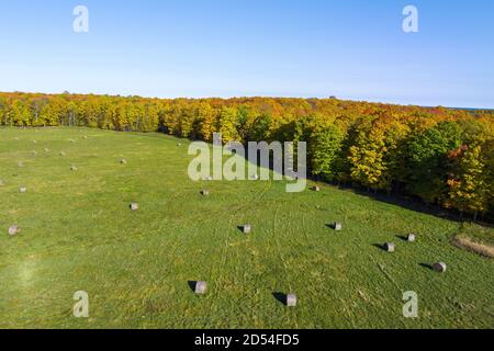 Field of hay bales with fall colors from above with a drone Stock Photo