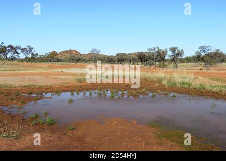 Shrinking waterhole in the arid Outback near Boulia, Channel Country, Queensland, QLD, Australia Stock Photo