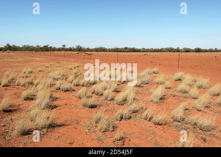 Typical view of the arid Australian Outback in the Red Centre, near Boulia, Channel Country, Queensland, QLD, Australia Stock Photo