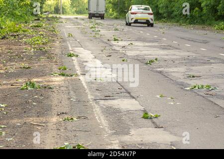 cars moving on a road strewn with branches and leaves after a strong wind, selective focus Stock Photo