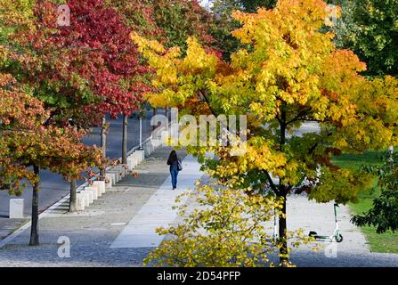 Berlin, Germany. 12th Oct, 2020. A woman walks under the autumnally coloured trees near the House of World Cultures in Mitte. Credit: Jens Kalaene/dpa-Zentralbild/ZB/dpa/Alamy Live News Stock Photo