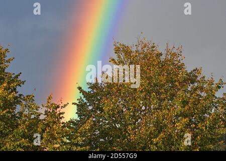 October 7th, 2020, a powerful rainbow in the dark cloudy sky over Schleswig. The arc-shaped, colored light band is created when the sun shines on a wall of rain and the light is broken into its spectral colors. | usage worldwide Stock Photo