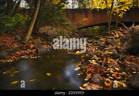 A brick construction bridge that crosses a flowing river. Colored leaves lying on the ground in a forest in Autumn. Stock Photo