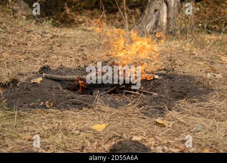 Man putting wooden sticks into fire. Bonfire in the forest. Campfire in a nature Stock Photo
