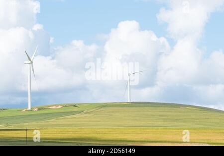 wind energy turbines on a farm in the Overberg region of South Africa concept technology and environmental awareness in Africa Stock Photo
