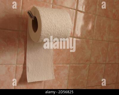 Toilet paper ion a roll hanging on a wall Stock Photo
