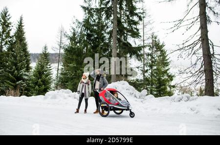 Father and mother with two small children in trailer in winter nature, walking in the snow. Stock Photo