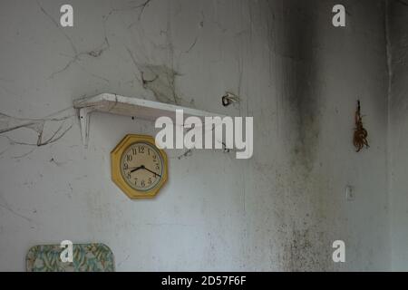 Cobwebbed clock and dried herbs on moldy wall. Abandoned house interior. Stock Photo