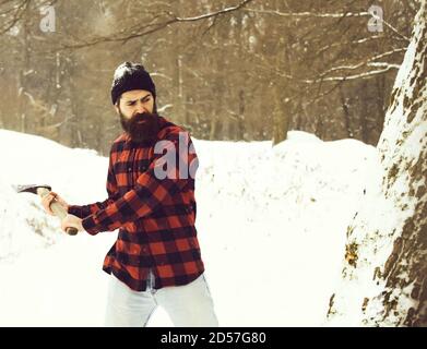 Handsome man or lumberjack, bearded hipster, with beard and moustache in red checkered shirt cuts tree with axe in snowy forest on winter day outdoors on natural background Stock Photo