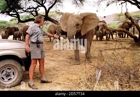 elephant travel system