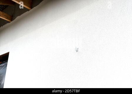 A screw mounted in the wall of the building, used to fix the gutter clamp, attached to the top of the wall. Stock Photo