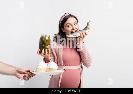 pregnant woman holding jar with pickled cucumbers and eating dried fish while looking at cupcakes on plate in male hand isolated on white Stock Photo