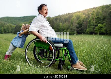 Small girl with senior grandfather in wheelchair on a walk on meadow in nature. Stock Photo