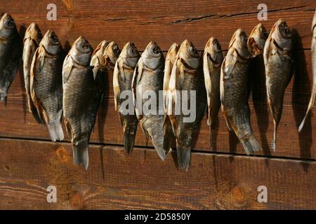 A bunch of dried salted fish hangs on a background of wooden planks Stock Photo