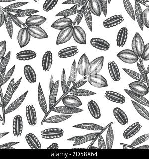 Hand drawn pecan branch and kernels seamless pattern. Organic food vector illustration on white background. Vintage nut illustration. Engraved style b Stock Vector